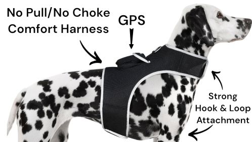 High Tech GPS Pet Transmitter Waterproof Mini Location Tracking Device Size:M