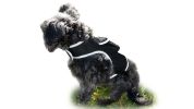 High Tech GPS Pet Transmitter Waterproof Mini Location Tracking Device Size:M
