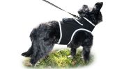 High Tech GPS Pet Transmitter Waterproof Mini Location Tracking Device Size:S