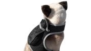 High Tech GPS Pet Transmitter Waterproof Mini Location Tracking Device Size:M