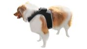 High Tech GPS Pet Transmitter Waterproof Mini Location Tracking Device Size:S
